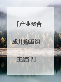 产业整合成并购重组主旋律
