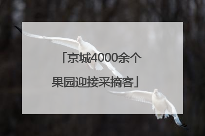 京城4000余个果园迎接采摘客
