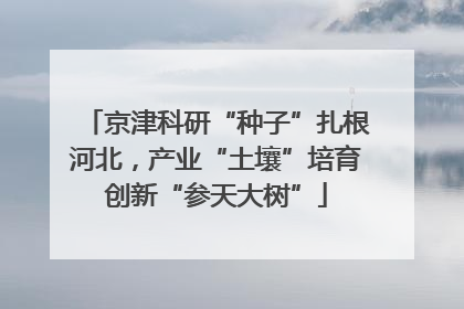 京津科研“种子”扎根河北，产业“土壤”培育创新“参天大树”