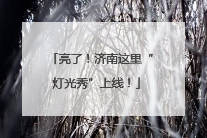 亮了！济南这里“灯光秀”上线！