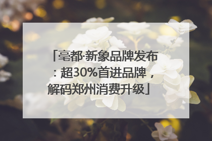 亳都·新象品牌发布：超30%首进品牌，解码郑州消费升级