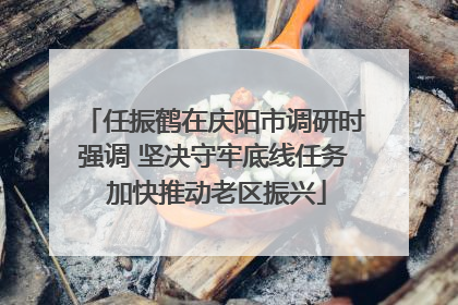 任振鹤在庆阳市调研时强调 坚决守牢底线任务 加快推动老区振兴
