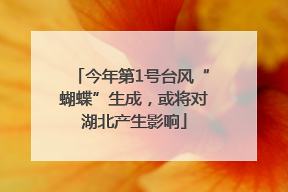 今年第1号台风“蝴蝶”生成，或将对湖北产生影响