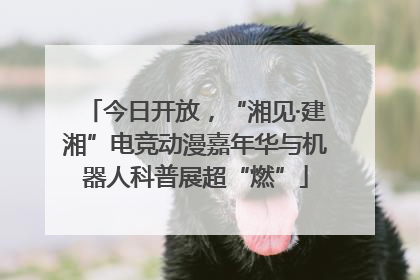 今日开放，“湘见·建湘”电竞动漫嘉年华与机器人科普展超“燃”