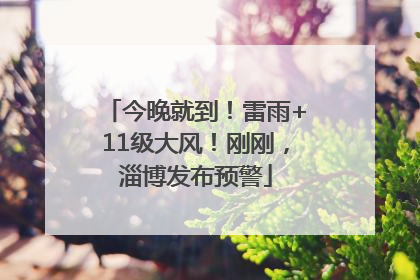 今晚就到！雷雨+11级大风！刚刚，淄博发布预警