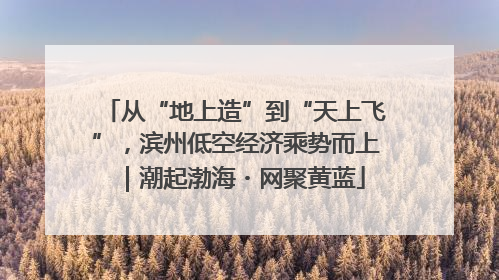 从“地上造”到“天上飞”，滨州低空经济乘势而上｜潮起渤海・网聚黄蓝