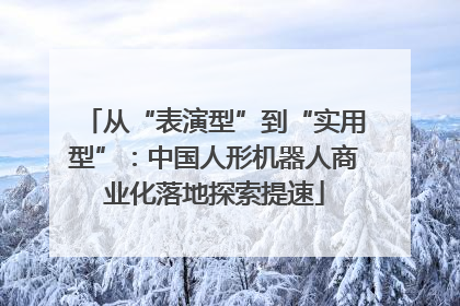 从“表演型”到“实用型”：中国人形机器人商业化落地探索提速