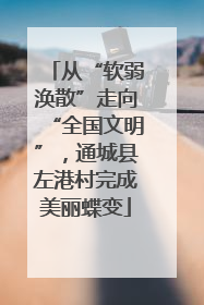从“软弱涣散”走向“全国文明”，通城县左港村完成美丽蝶变