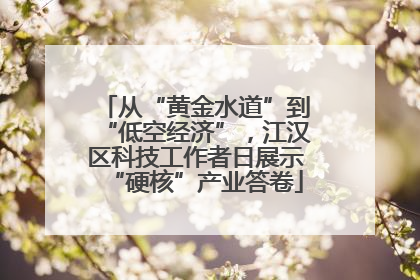 从“黄金水道”到“低空经济”，江汉区科技工作者日展示“硬核”产业答卷