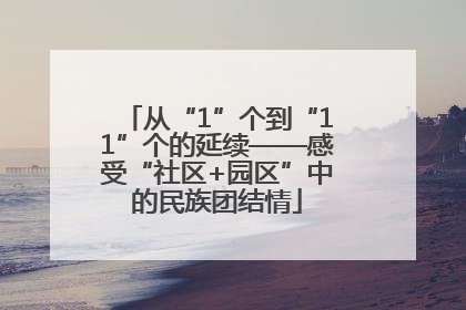 从“1”个到“11”个的延续——感受“社区+园区”中的民族团结情