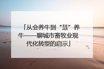 从会养牛到“慧”养牛——聊城市畜牧业现代化转型的启示