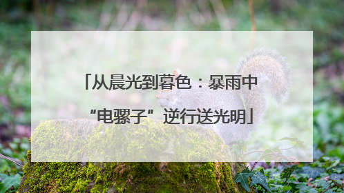 从晨光到暮色：暴雨中“电骡子”逆行送光明