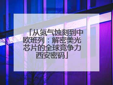 从氮气蚀刻到中欧班列：解密美光芯片的全球竞争力西安密码