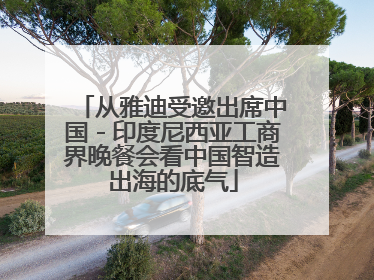 从雅迪受邀出席中国－印度尼西亚工商界晚餐会看中国智造出海的底气