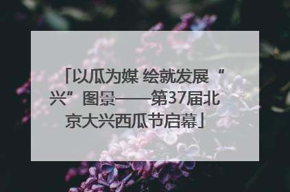 以瓜为媒 绘就发展“兴”图景——第37届北京大兴西瓜节启幕
