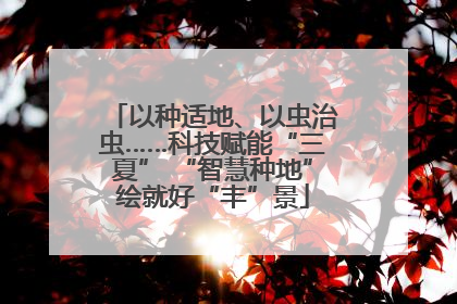 以种适地、以虫治虫……科技赋能“三夏” “智慧种地”绘就好“丰”景