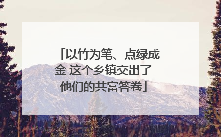 以竹为笔、点绿成金 这个乡镇交出了他们的共富答卷