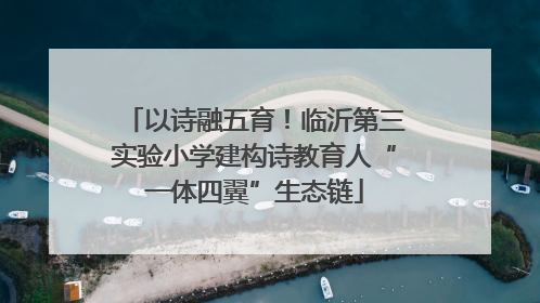 以诗融五育！临沂第三实验小学建构诗教育人“一体四翼”生态链