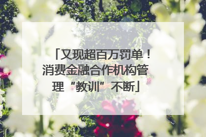 又现超百万罚单！消费金融合作机构管理“教训”不断
