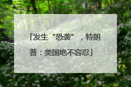 发生“恐袭”，特朗普：美国绝不容忍