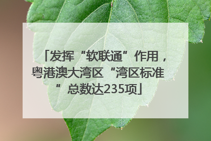 发挥“软联通”作用，粤港澳大湾区“湾区标准”总数达235项