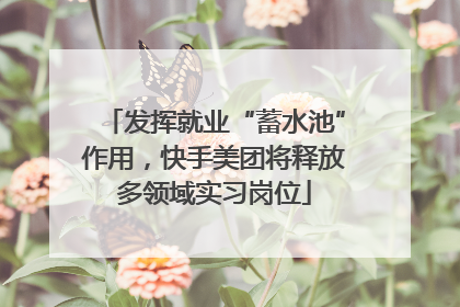 发挥就业“蓄水池”作用，快手美团将释放多领域实习岗位