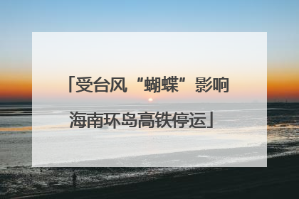 受台风“蝴蝶”影响 海南环岛高铁停运