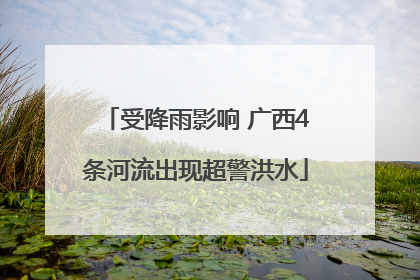 受降雨影响 广西4条河流出现超警洪水