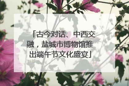 古今对话、中西交融，盐城市博物馆推出端午节文化盛宴