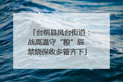 台前县凤台街道：战高温守“粮”辰 禁烧保收多管齐下