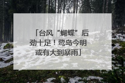 台风“蝴蝶”后劲十足！鹭岛今明或有大到暴雨