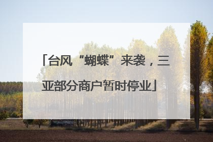 台风“蝴蝶”来袭，三亚部分商户暂时停业