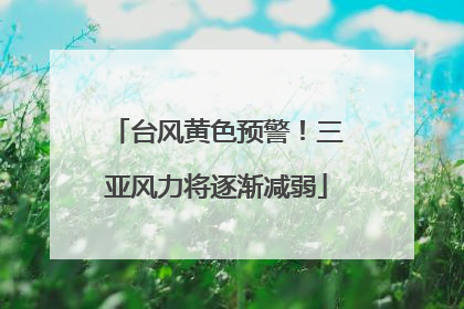 台风黄色预警！三亚风力将逐渐减弱