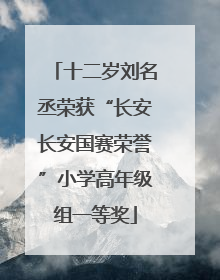 十二岁刘名丞荣获“长安长安国赛荣誉”小学高年级组一等奖