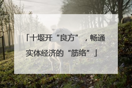 十堰开“良方”，畅通实体经济的“筋络”