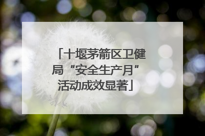 十堰茅箭区卫健局“安全生产月”活动成效显著