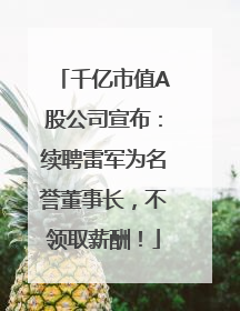 千亿市值A股公司宣布：续聘雷军为名誉董事长，不领取薪酬！