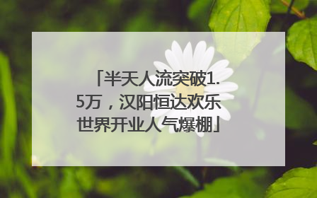 半天人流突破1.5万，汉阳恒达欢乐世界开业人气爆棚