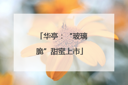 华亭：“玻璃脆”甜蜜上市