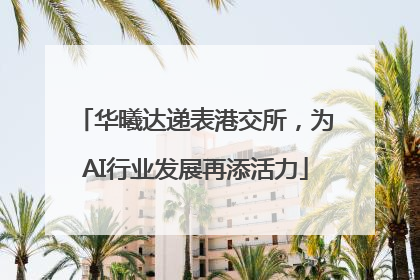 华曦达递表港交所，为AI行业发展再添活力