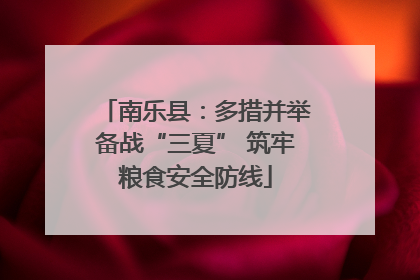 南乐县：多措并举备战“三夏” 筑牢粮食安全防线