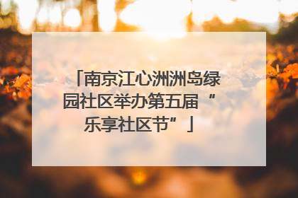 南京江心洲洲岛绿园社区举办第五届“乐享社区节”