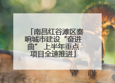 南昌红谷滩区奏响城市建设“奋进曲” 上半年重点项目全速推进