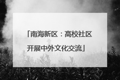 南海新区：高校社区开展中外文化交流