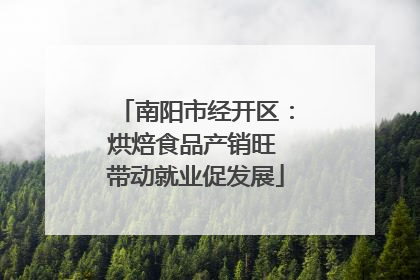 南阳市经开区：烘焙食品产销旺 带动就业促发展