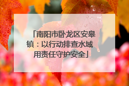 南阳市卧龙区安皋镇：以行动排查水域 用责任守护安全