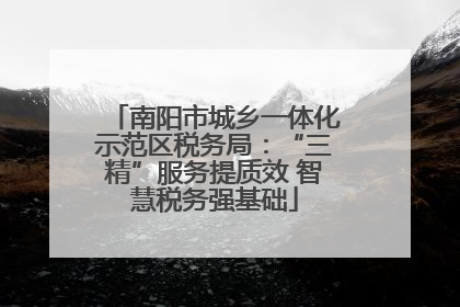 南阳市城乡一体化示范区税务局：“三精”服务提质效 智慧税务强基础