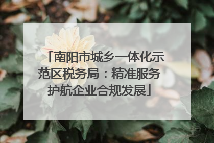 南阳市城乡一体化示范区税务局：精准服务护航企业合规发展