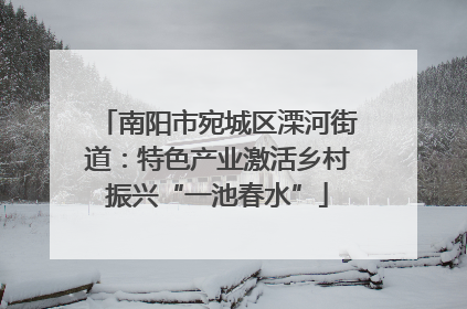 南阳市宛城区溧河街道：特色产业激活乡村振兴“一池春水”