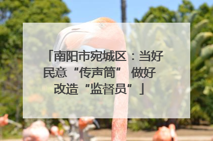 南阳市宛城区：当好民意“传声筒” 做好改造“监督员”